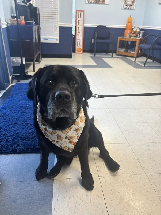 Long Branch Animal Hospital Picture 2