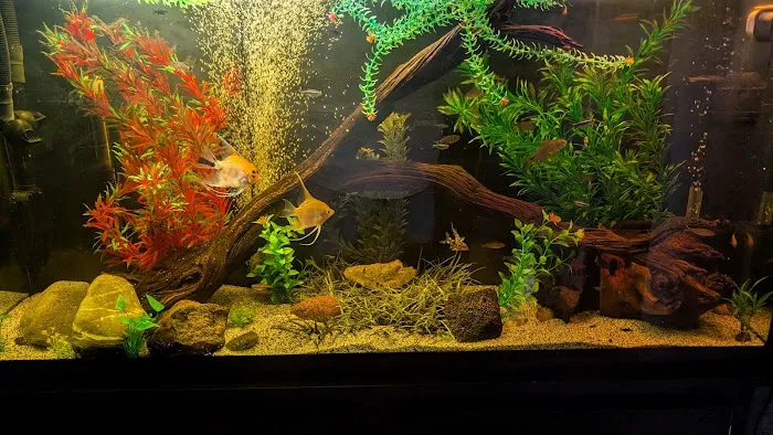 Aquarium and Pond Experts Picture 2