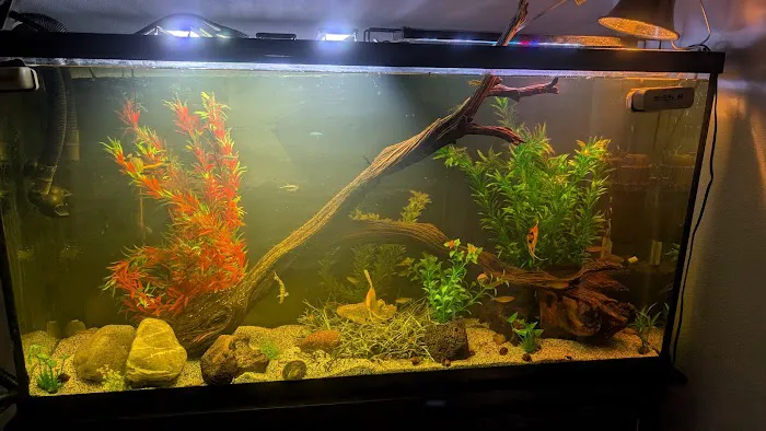 Aquarium and Pond Experts Picture 1