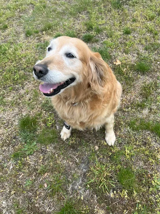 Howell Animal Hospital Surgical and Diagnostic Center Picture 6