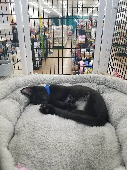 Pet Supermarket Picture 2