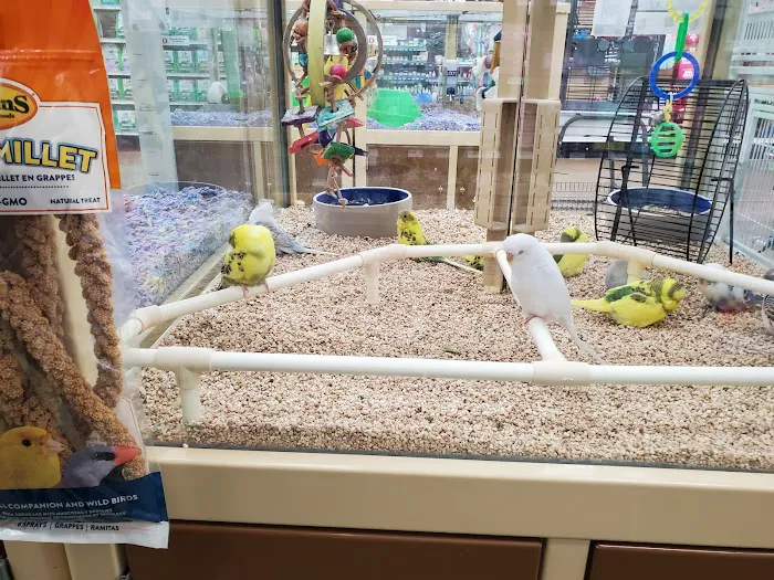 Pet Supermarket Picture 3