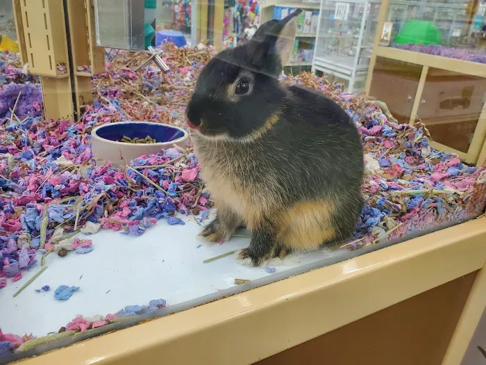 Pet Supermarket Picture 6