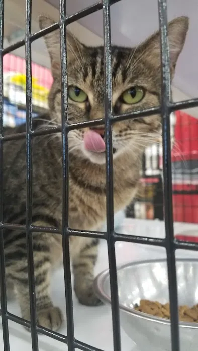 Pet Supermarket Picture 8