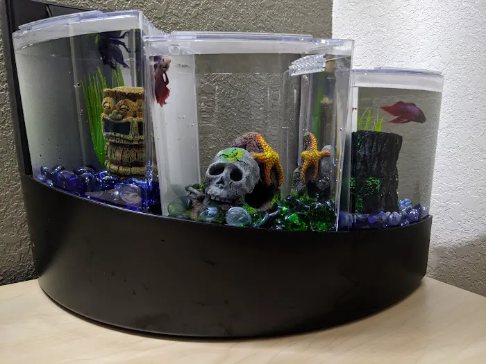 Pet Supermarket Picture 1