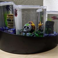 Pet Supermarket ico