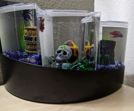 Pet Supermarket