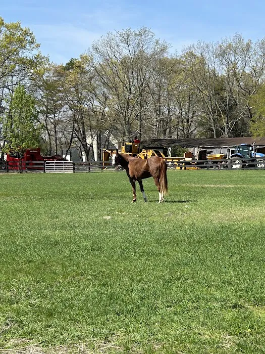 Coastal Elite Veterinary Services Picture 6