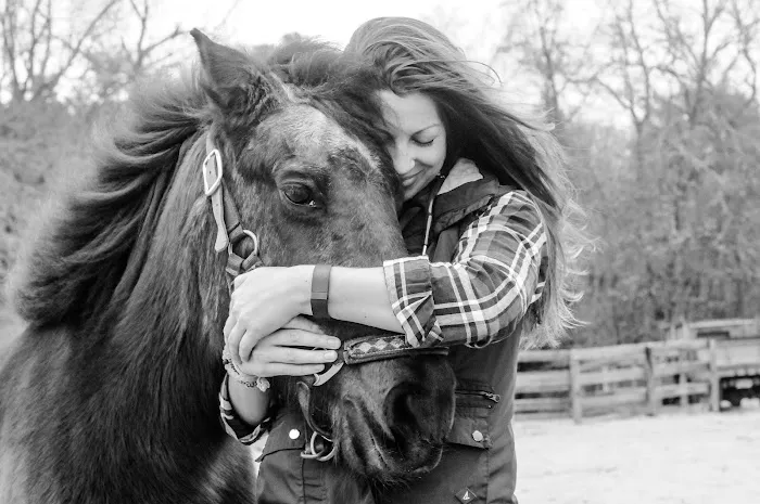 Coastal Elite Veterinary Services Picture 3