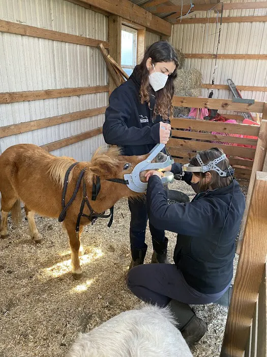 Coastal Elite Veterinary Services Picture 2