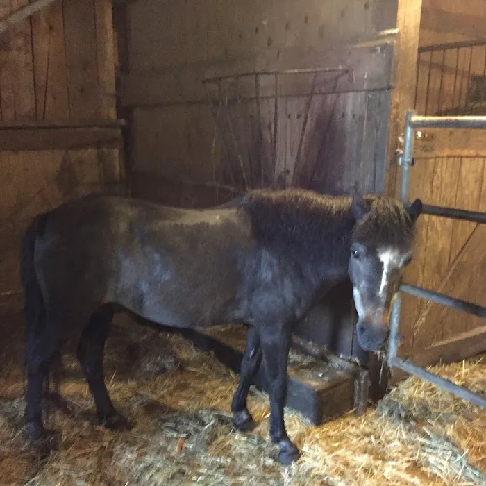 Coastal Elite Veterinary Services Picture 5