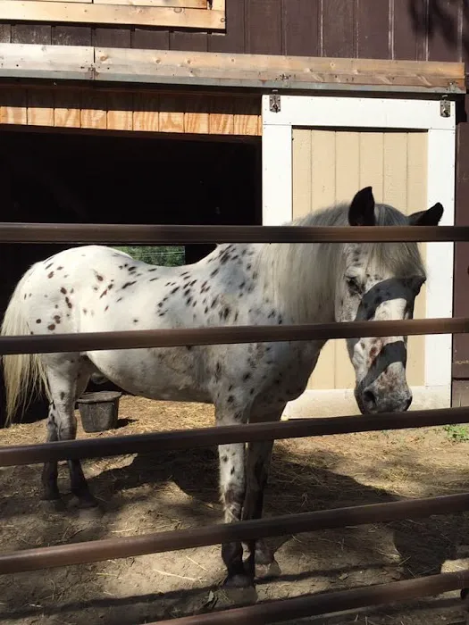 Coastal Elite Veterinary Services Picture 1