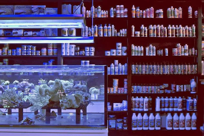 Ocean Blue Aquarium Picture 4