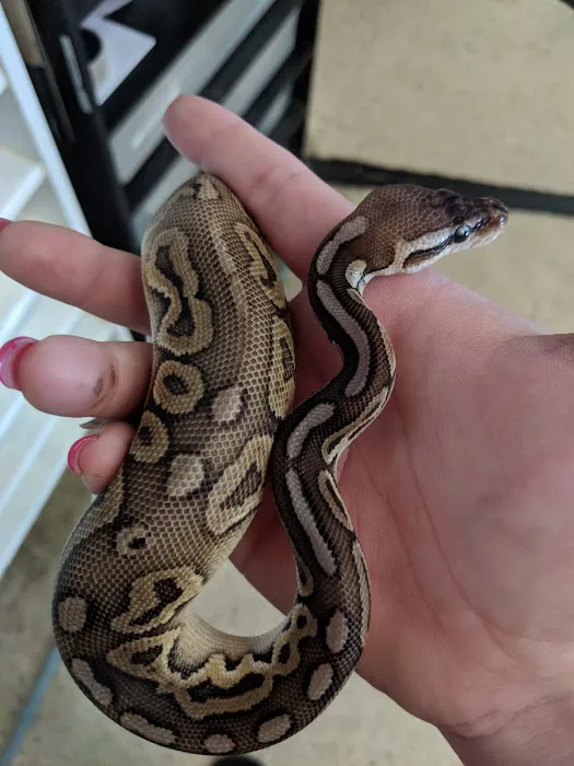 Pet Bazaar Picture 4