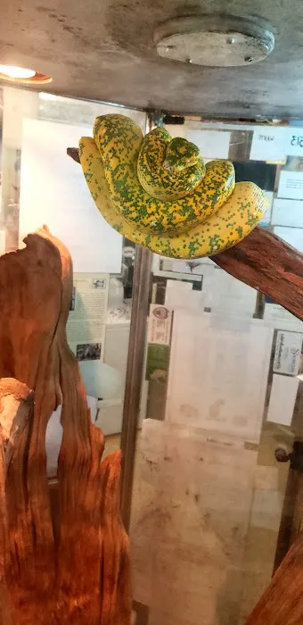 Pet Bazaar Picture 7