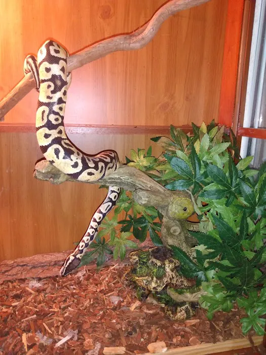 Pet Bazaar Picture 2