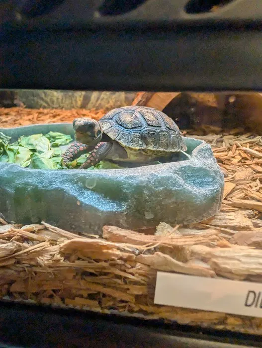 Pet Bazaar Picture 6