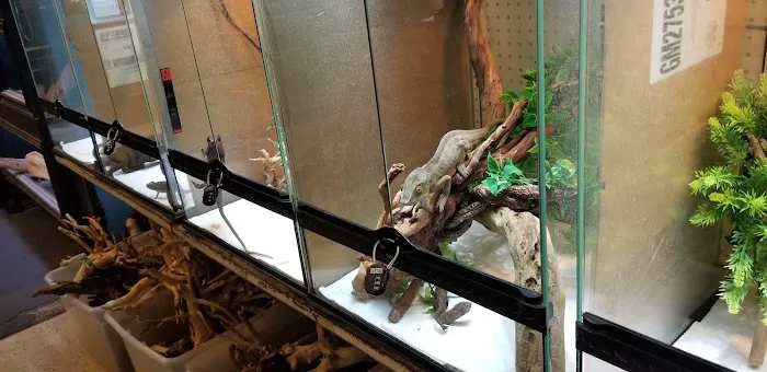 Pet Bazaar Picture 3