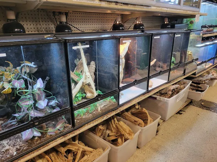 Pet Bazaar Picture 5