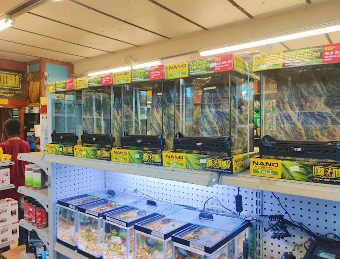 Pet Bazaar Picture 10