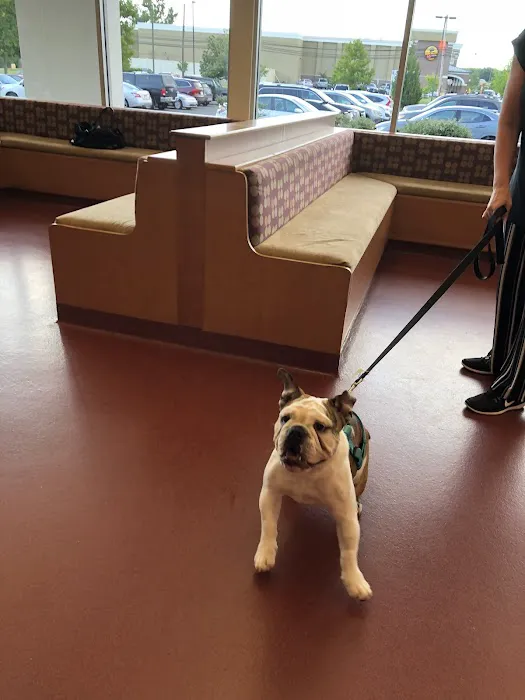 True Care Veterinary Hospital Picture 1