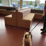 True Care Veterinary Hospital