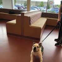 True Care Veterinary Hospital ico