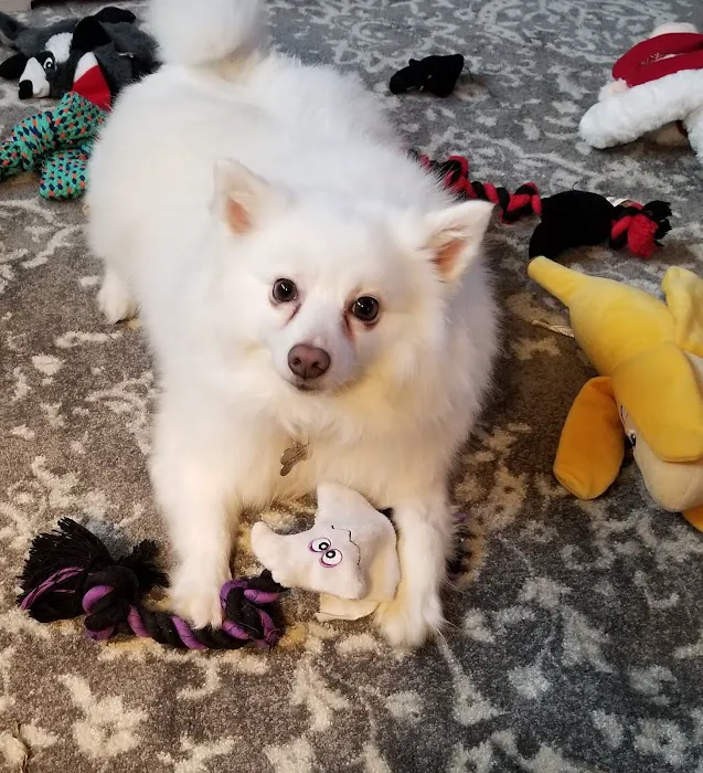 True Care Veterinary Hospital Picture 9