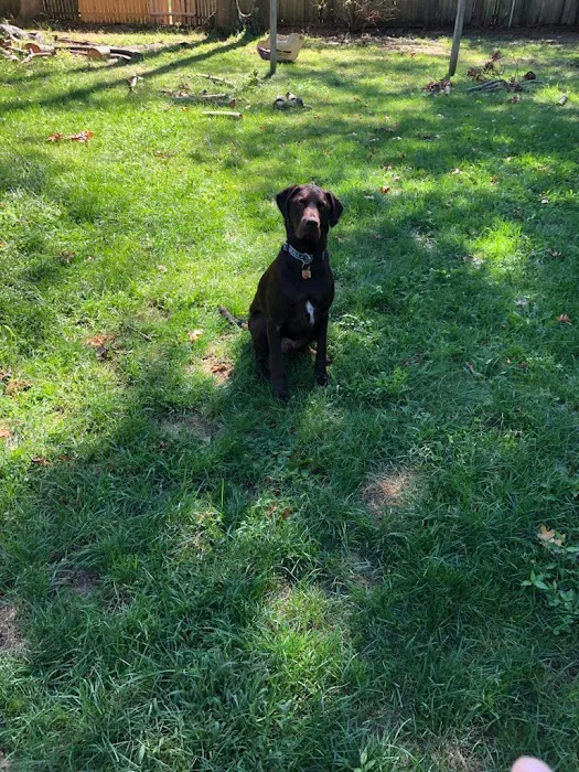 True Care Veterinary Hospital Picture 5