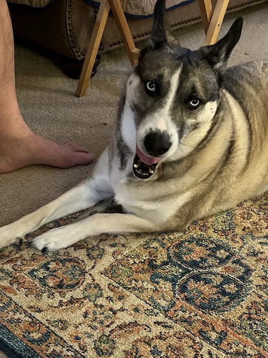 True Care Veterinary Hospital Picture 10