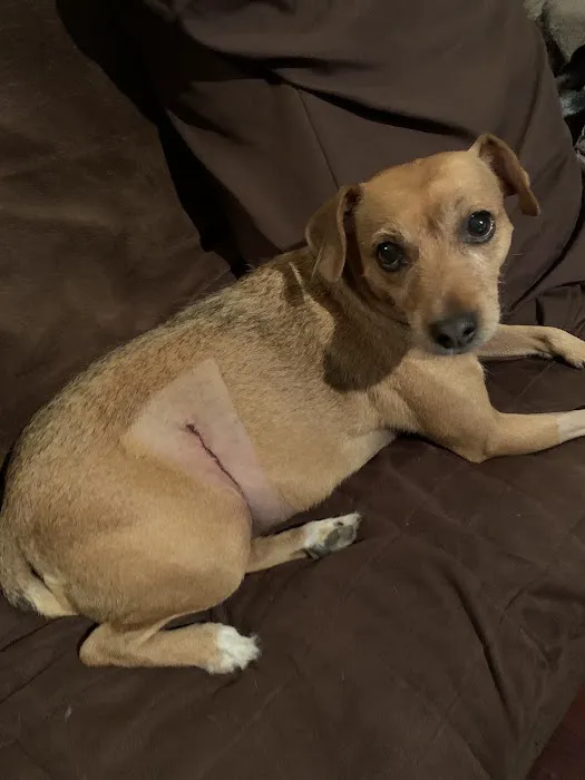 True Care Veterinary Hospital Picture 4