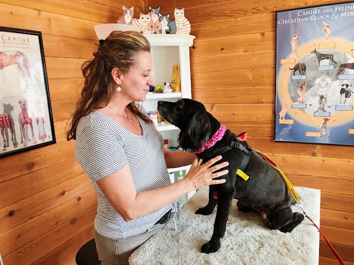 PawromaTherapy Picture 9