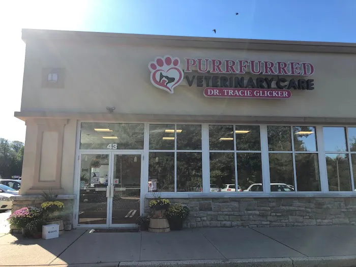 Purrfurred Veterinary Care with Dr. Tracie Glicker Picture 6