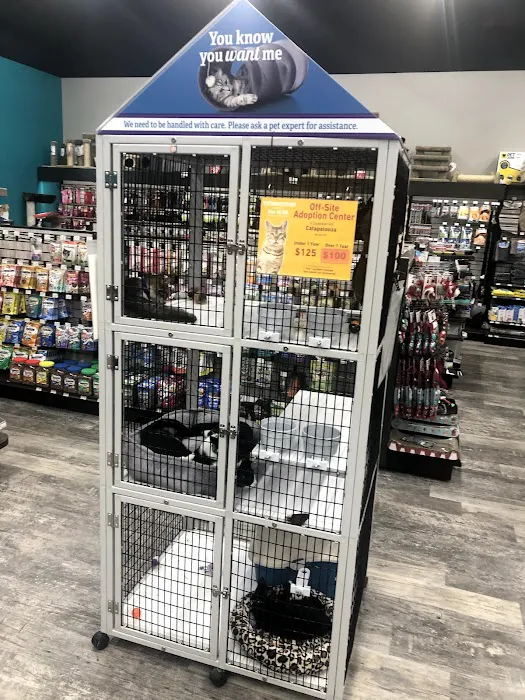Pet Supermarket Picture 1