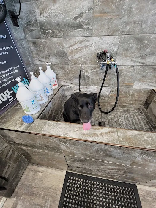 Pet Supermarket Picture 5
