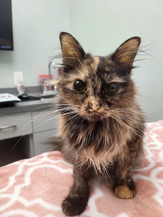 Ramtown Animal Hospital of Howell Picture 4