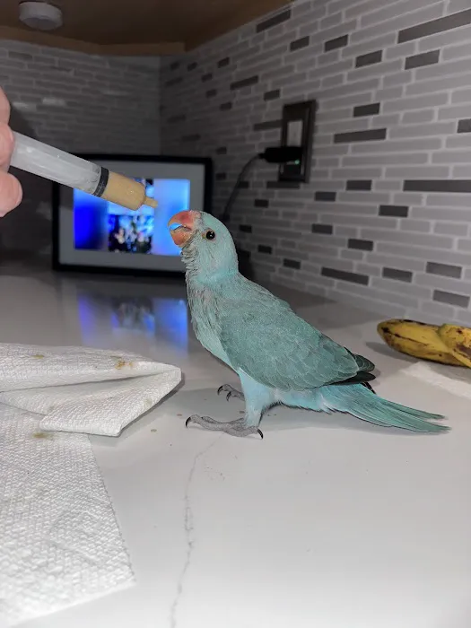 Friendly Bird Aviary Picture 1