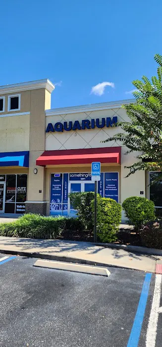 somethingFISHY Picture 1