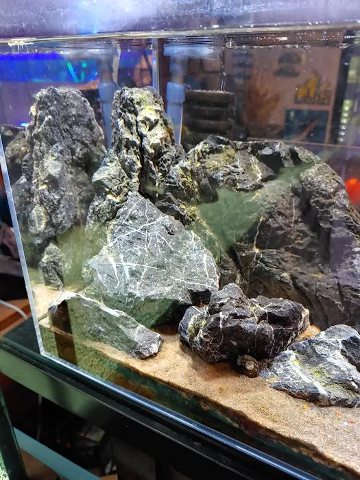 somethingFISHY Picture 4