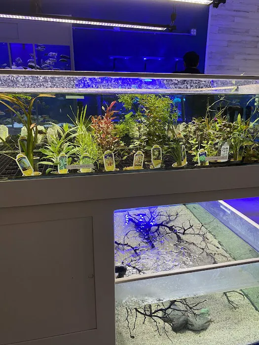 somethingFISHY Picture 10