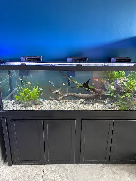 somethingFISHY Picture 6