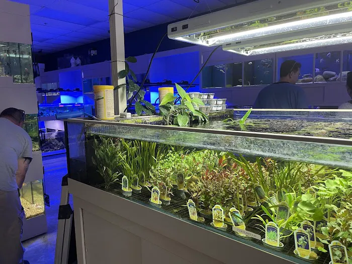 somethingFISHY Picture 9