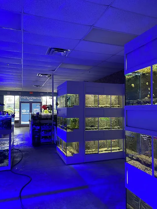 somethingFISHY Picture 8