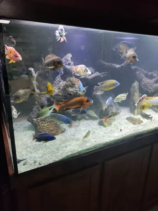 somethingFISHY Picture 7