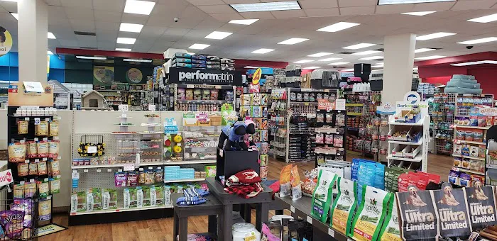Pet Supermarket Picture 6