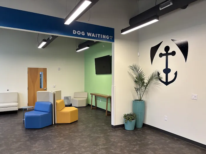 City By The Sea Veterinary Picture 4