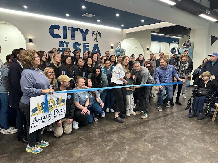 City By The Sea Veterinary Picture 9