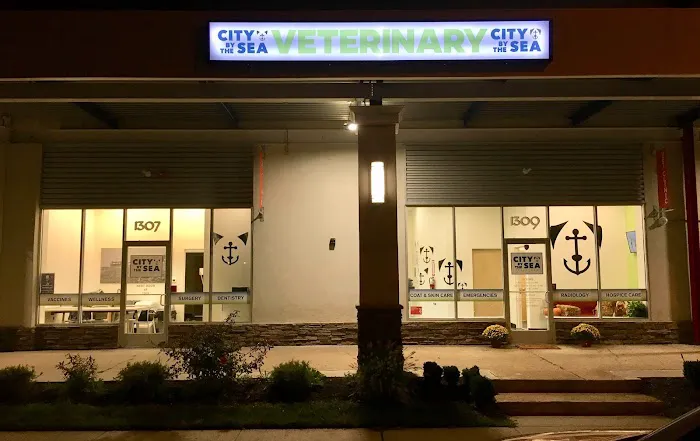 City By The Sea Veterinary Picture 8