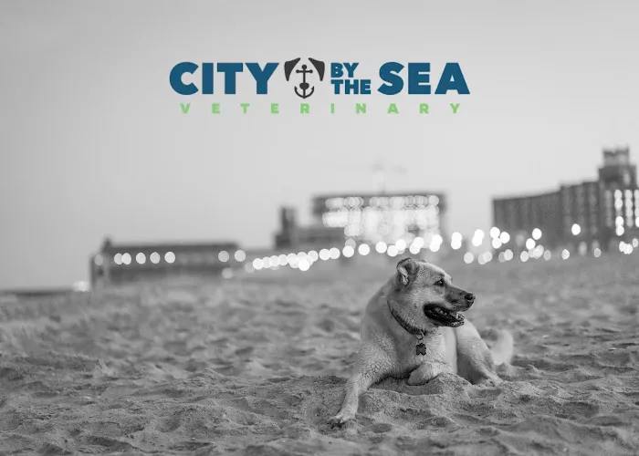 City By The Sea Veterinary Picture 10