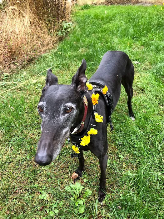 City By The Sea Veterinary Picture 3